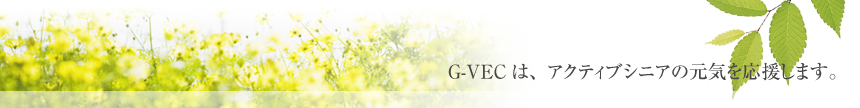 G-VEĆAANeBuVjǍC܂B